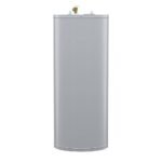 A.O. Smith Signature 100 40-Gallon Short 6-Year Warranty 4500-Watt Double Element Electric Water Heater | E6-40R45D TTP - Image 4
