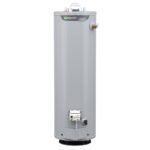 A.O. Smith Signature 100 30-Gallon Tall 6-Year Limited 32000-BTU Natural GAS Water Heater | G6-T3032NVR