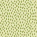 Casual Cushion Dining Seat Cushion in Agra Cactus