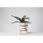 Hand Painted Terra Cotta Footed Planter
