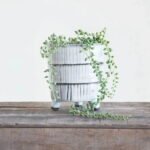 White & Black Terracotta Footed Planter